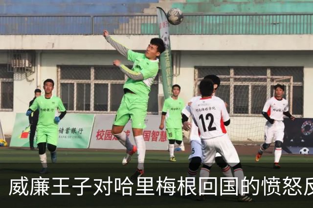 威廉王子对哈里梅根回国的愤怒反应引发关注